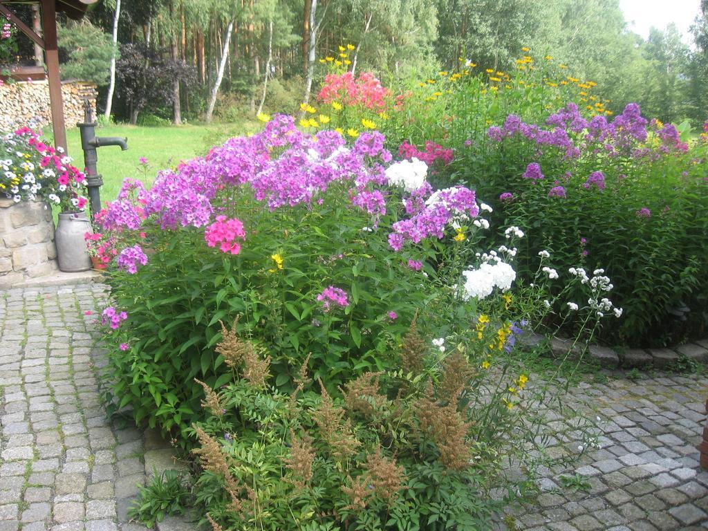 Ferienwohnung Guerth Kleinhennersdorf المظهر الخارجي الصورة
