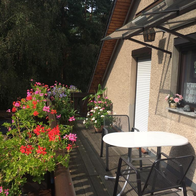 Ferienwohnung Guerth Kleinhennersdorf المظهر الخارجي الصورة